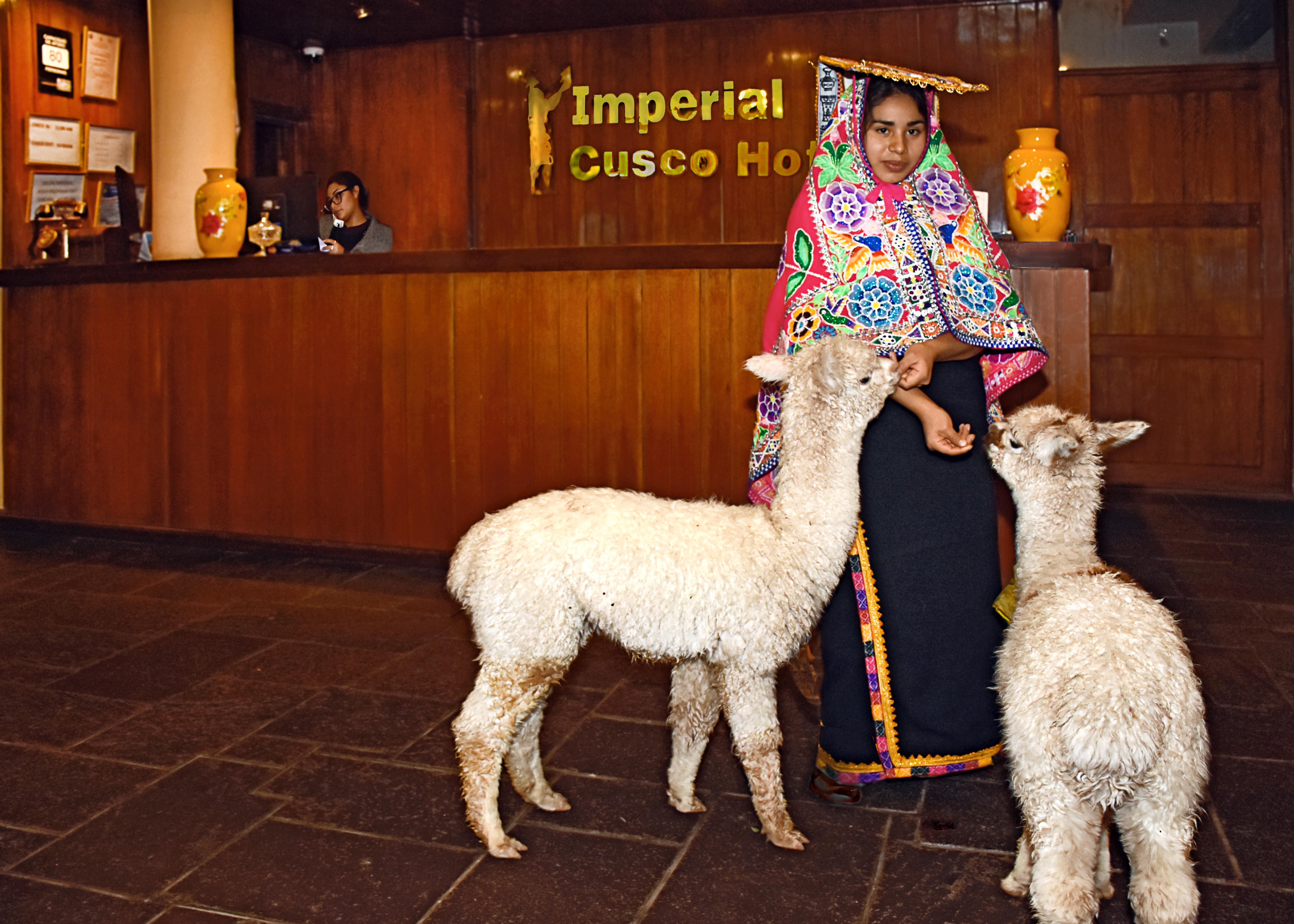 Imperial Cusco Hotel Exterior foto