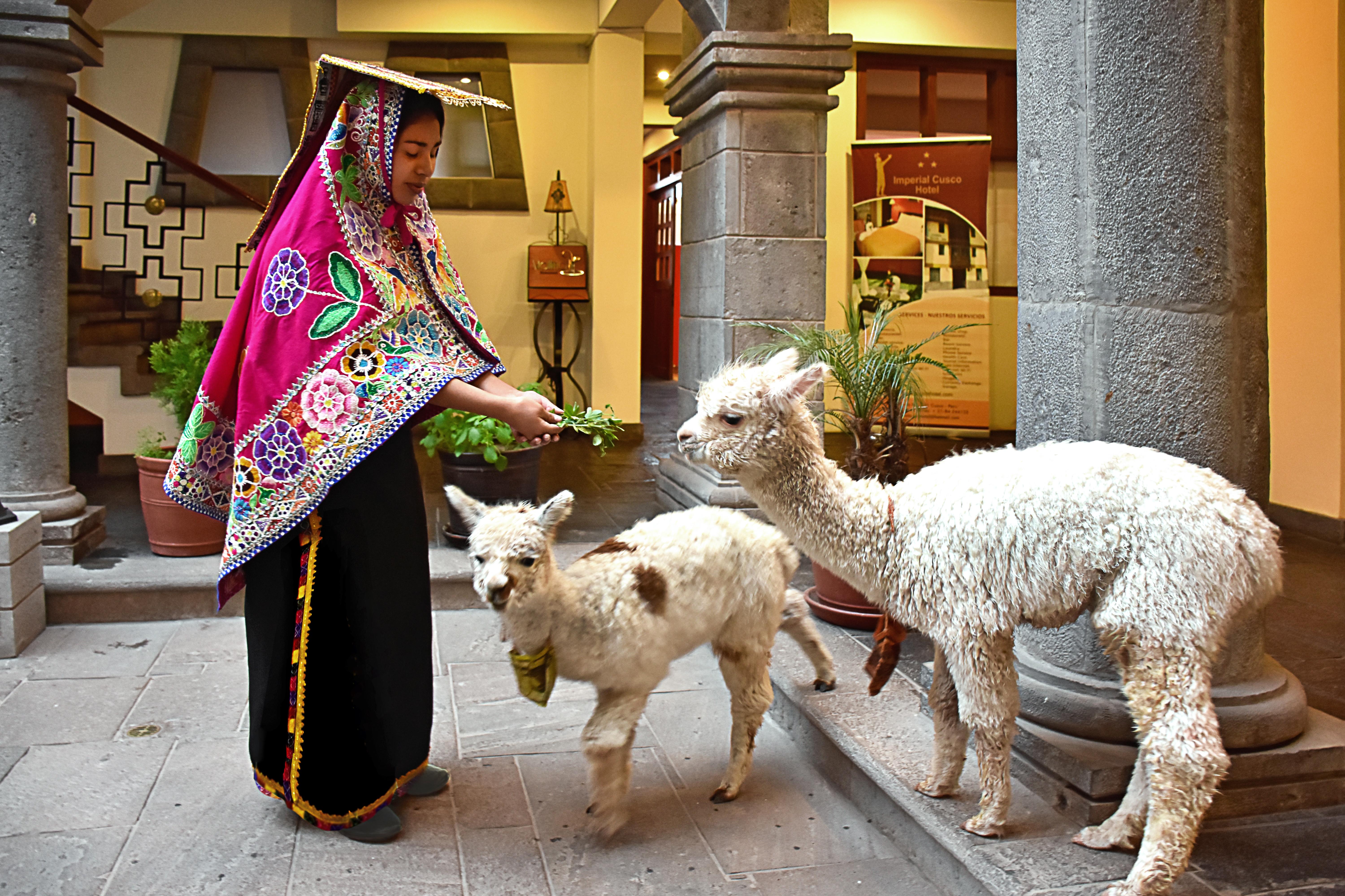 Imperial Cusco Hotel Exterior foto